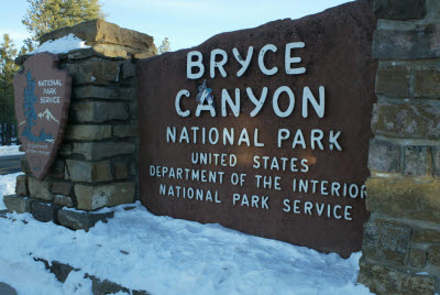 Anteater on the Bryce Canyon National Park Sign