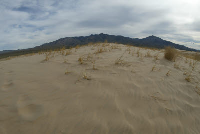 Kelso Sand Dunes in Mojave 