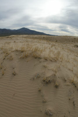 Kelso Sand Dunes in Mojave