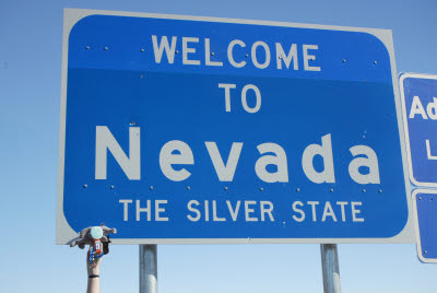 Anteater at the Welcome to Nevada sign on 178