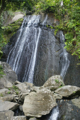 El Yunque National Park, Puerto Rico
