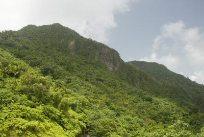 Views from El Yunque Observation Tower