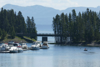 Bridge Bay Marina on Yellowstone Lake