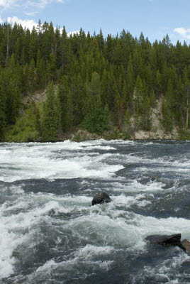 Raging rivers of Yellowstone