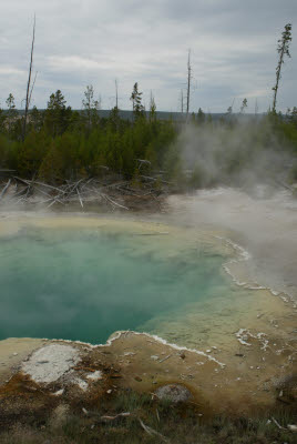 Colorful pool in Yellowstone