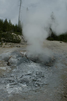 Yellowstone Steam Vent