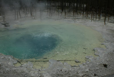 Thermal Area