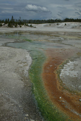 Colorful Thermal Area