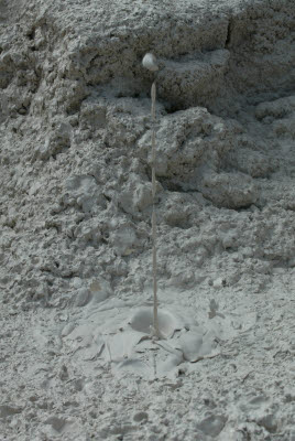 Bubbling Mud Pool