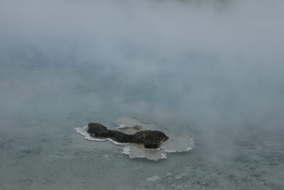 This thermal pool feature looks like a storybook island