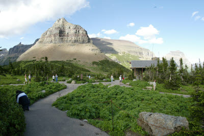 Glacier Nature Walk / Botanical Gardens