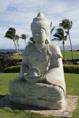 Statue at Waikoloa Hilton