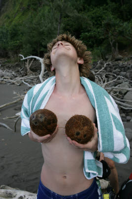 Lovely set of Coconuts
