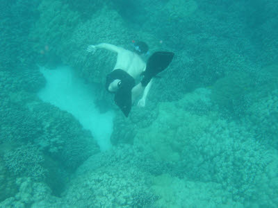 K.C. Snorkeling in Hawaii