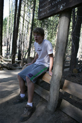 Alex awed by the Giant Sequoias