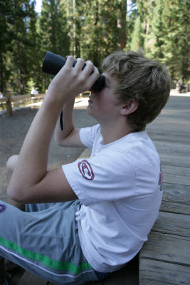 Alex observes the wildlife in Mariposa Grove