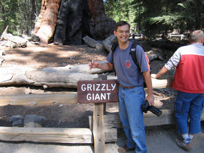 Mariposa Grove of Giant Sequoias, Yosemite, NP