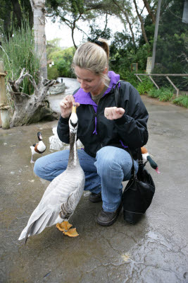 Michele Feeds a Duck