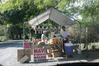Fruit Stand in Rincon, Puerto Rico