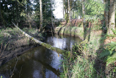 Creek at near front of farm in Montesano