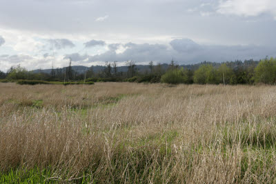 Farm in Montesano