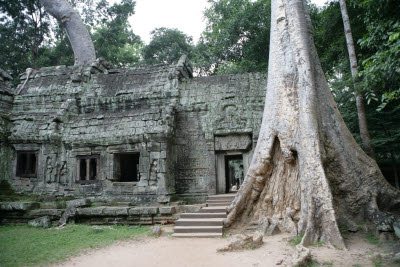 Ta Prohm, Angkor, Cambodia.