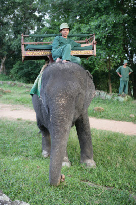 Elephant Rides to the top of Phnom Bekheng