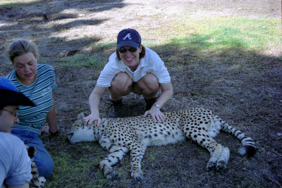 Lisa pets a cheetah at Harnas
