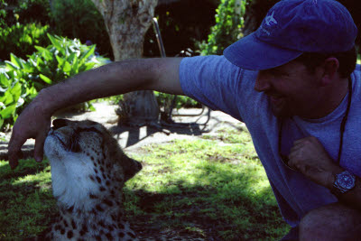 Cheetah gives Seans arm a lick