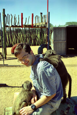 Baby baboons climb on Mark at Harnas