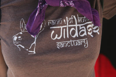 Rann of Kutch Wildass Sanctuary T-Shirt
