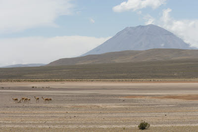 Reserva Nacional Salinas y Aquada Blanca and El Misti Volcano