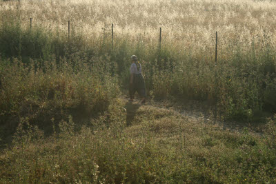 Turkish peasant women walking in field near Letoon, Turkey