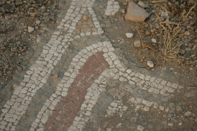 Basilica floor mosaic unearthed in Lycian city of Xanthos