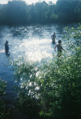 Swimming in the Kennebec River