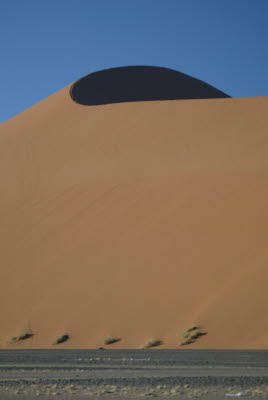 Dune 45 is one of the tallest dunes in the park