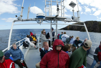 O'Brien's Whale and Bird Tours
