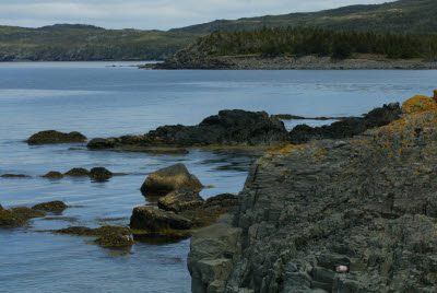 Newfoundland Bay