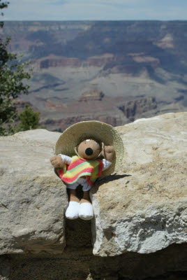 Mucho Mustacheo at the Grand Canyon