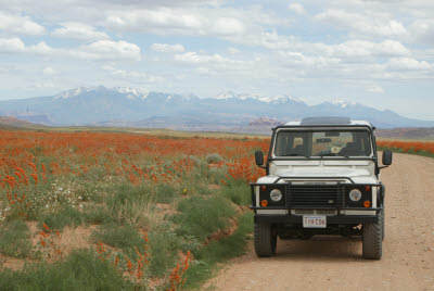 Defender in Arches National Park