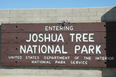 Anteater on the Joshua Tree National Park Sign